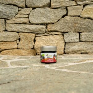 BIO Aronia Gewürzgelee 220g